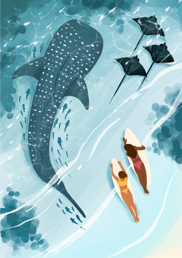 an illustration of a group of people lying on a paddleboard in the ocean with a whale shark and stingrays
