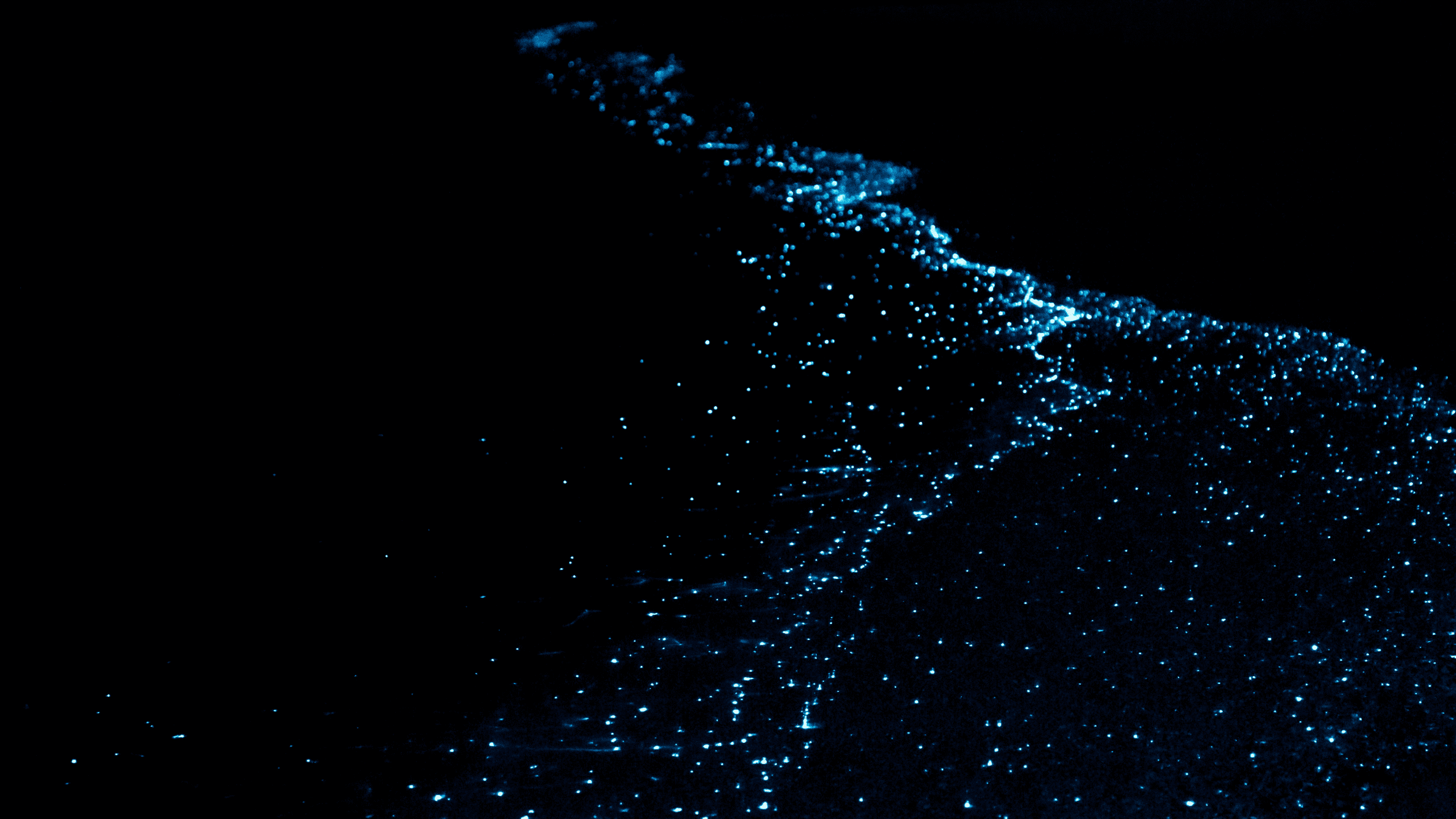 Glowing beach in Maldives