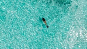 Aerial of a snorkeller in the water