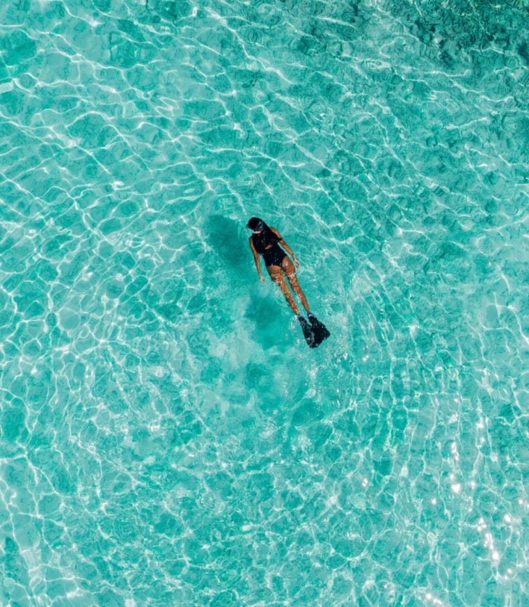 Aerial of a snorkeller in the water