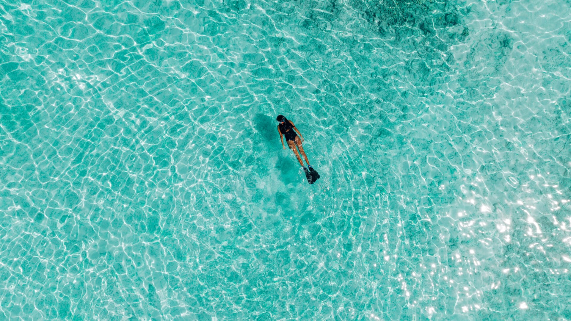 Aerial of a snorkeller in the water