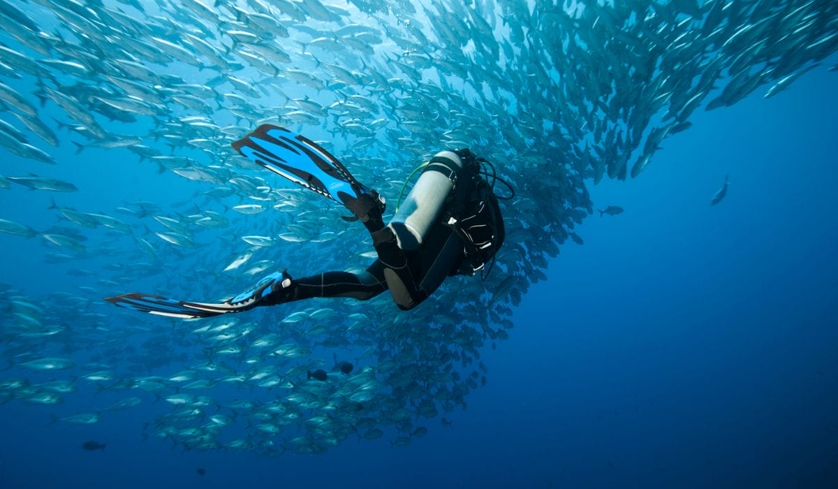 Diver underwater