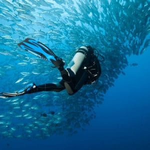 Diver underwater