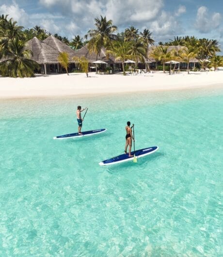 Two people paddleboarding on calm waters near a pristine beach.